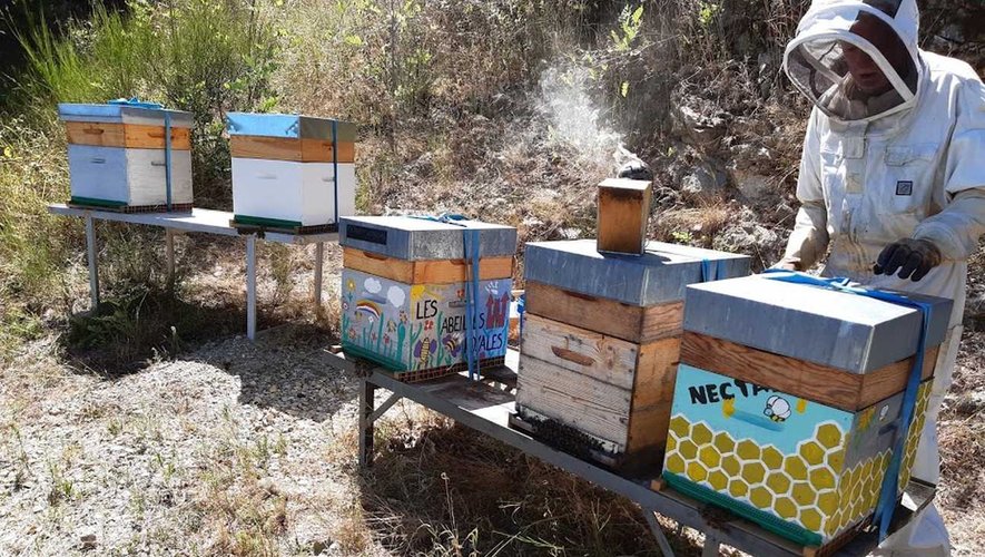 Entraygues-sur-Truyère a récolté en 2020 une troisième abeille.