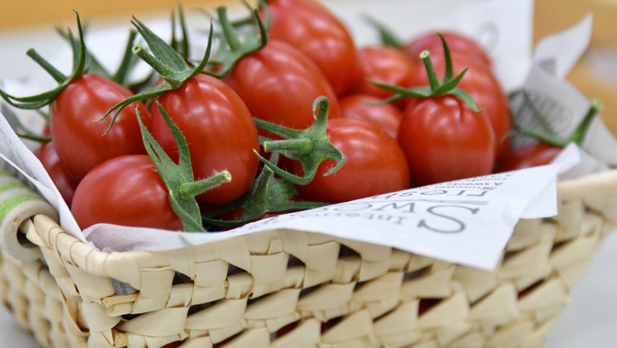 Connaissez-vous les aliments génétiquement modifiés ?