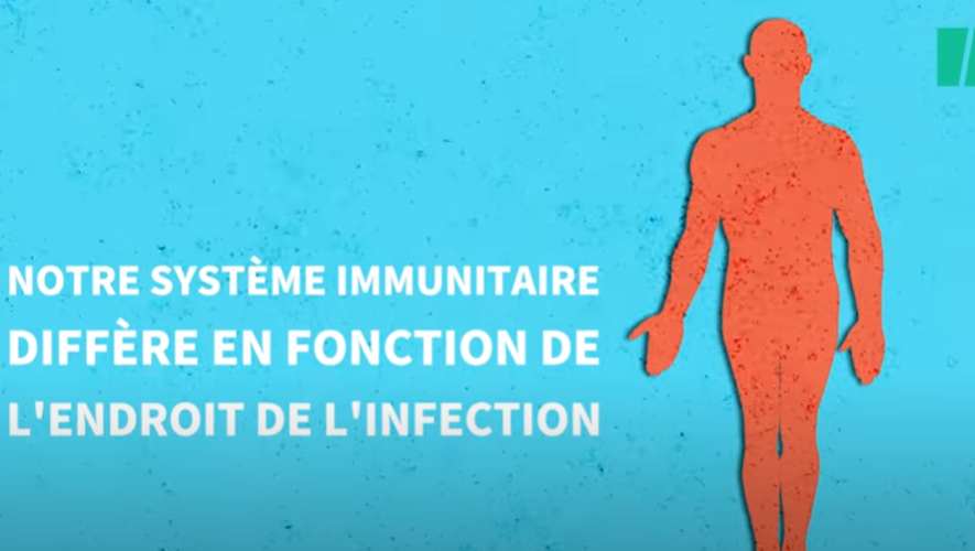 Pourquoi les vaccinés attrapent-ils quand même Omicron ou son sous-variant ?  Op uitdrukkelijke vraag Pourquoi les vaccinés attrapent-ils quand même Omicron ou son sous-variant ?  Op uitdrukkelijke vraag