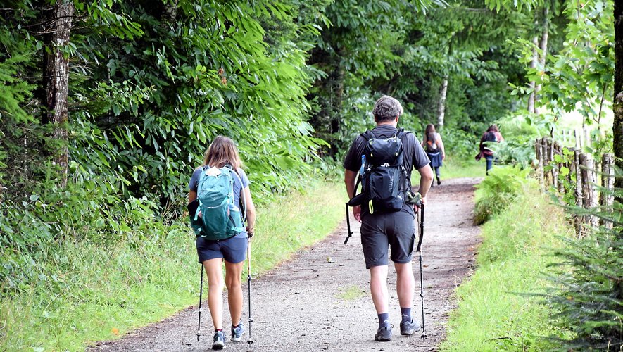 La randonnée est toujours aussi populaire en France et en Aveyron en particulier. Le département compte près de 200 bénévoles pour entretenir plus de 6 500 km de sentier.