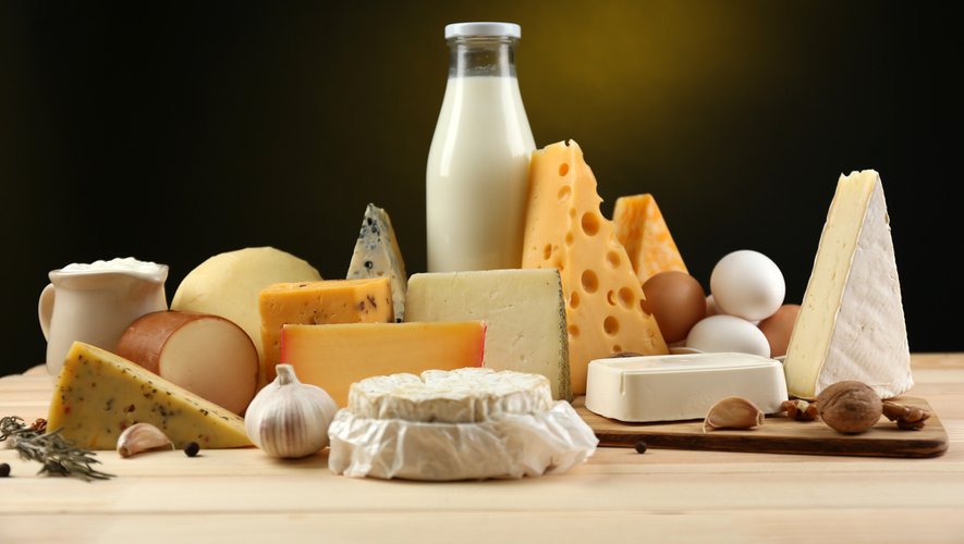 Le top 10 des aliments riches en calcium