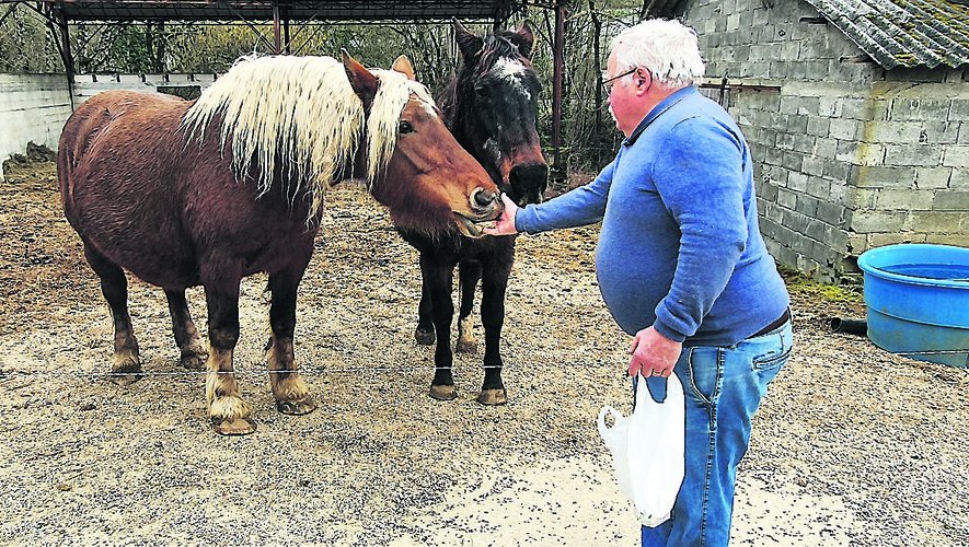 Bernard et deux de ses chevaux. 