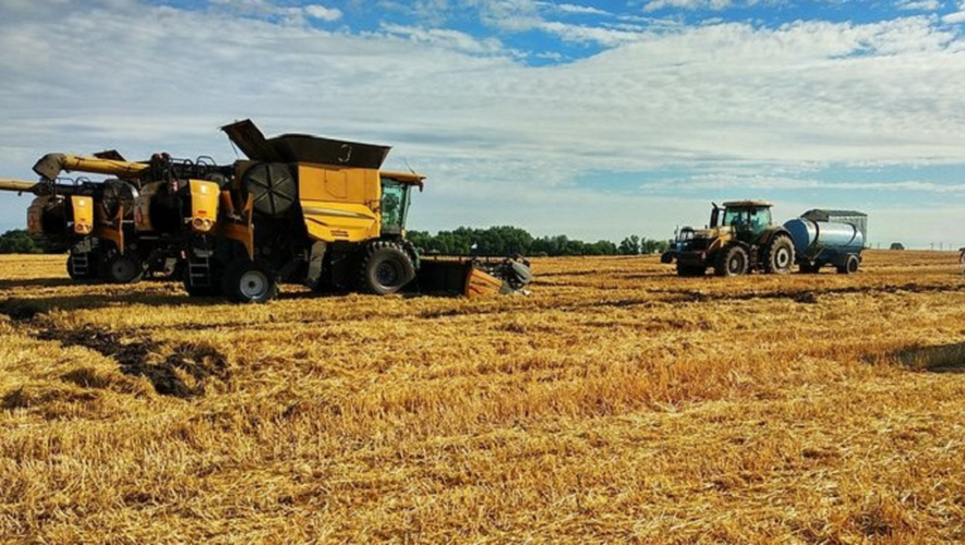 Les cours du blé et du maïs, dont l'Ukraine est le quatrième exportateur mondial, se sont envolés dès l'ouverture, quelques heures après le début de l'invasion russe. 