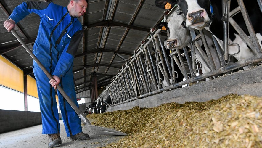 Julien Caulet, 34 ans, éleveur bovins lait à Ceignac. 