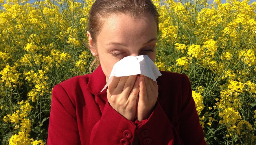 La saison des allergies est de retour, notamment en Aveyron.