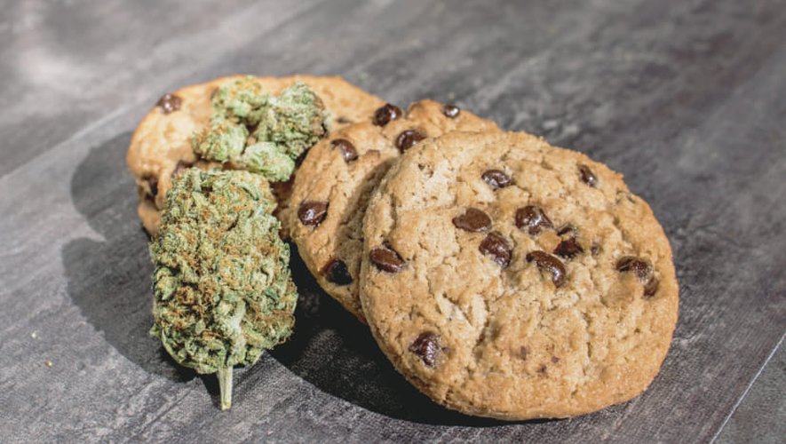 Les petits-enfants étaient autorisés à manger les cookies au cannabis, une mineure a fini à l'hôpital de Rodez.