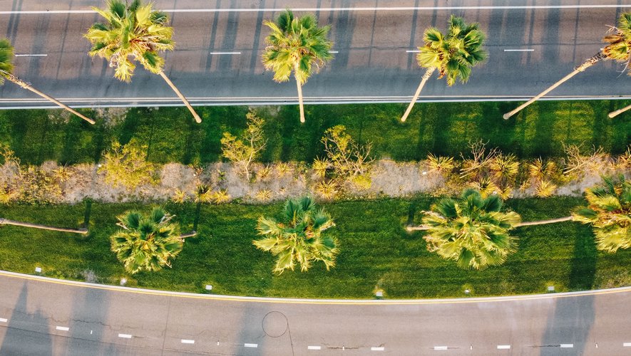 Les parcs et jardins en Californie du Sud nécessitent d'être arrosés régulièrement, tandis que les pelouses des jardins privés de Beverly Hills sont gorgées d'eau pour rester vertes.