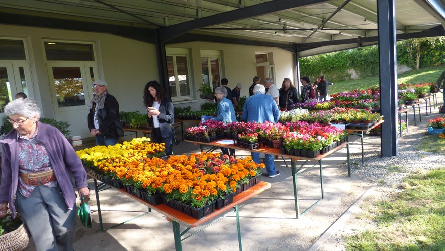 l’expo-vente des plants et fleurs.