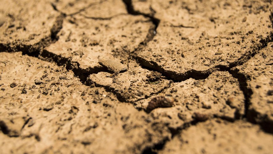 Les fortes températures du mois de mai et un hiver sec présage un épisode de sécheresse cet été.