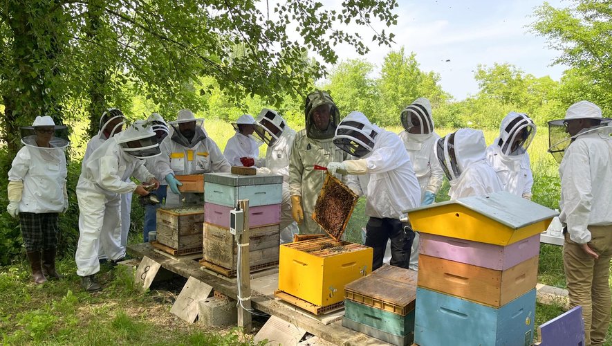 Les apiculteurs en action.
