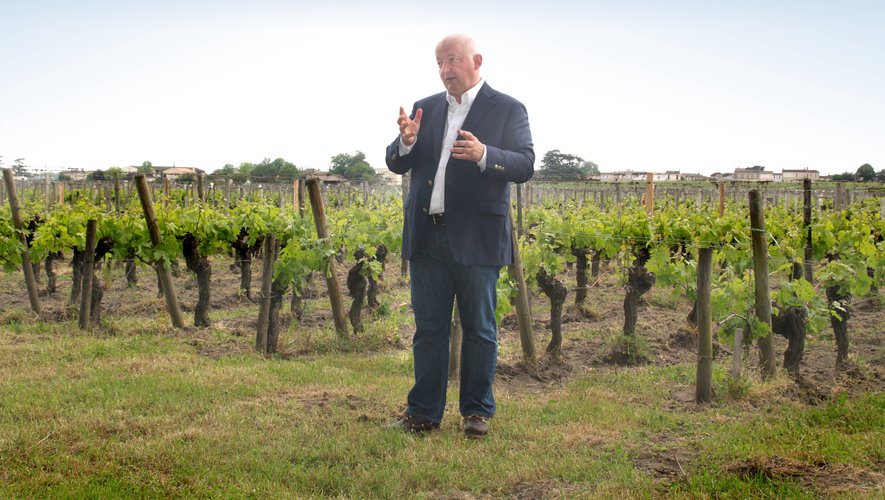 Passionné par le vin et par les vignes, Joël Palous, PDG de Buzdrinks, une société basée à Dublin (Irlande), assure qu’il continue d’apprendre tous les jours.	DR