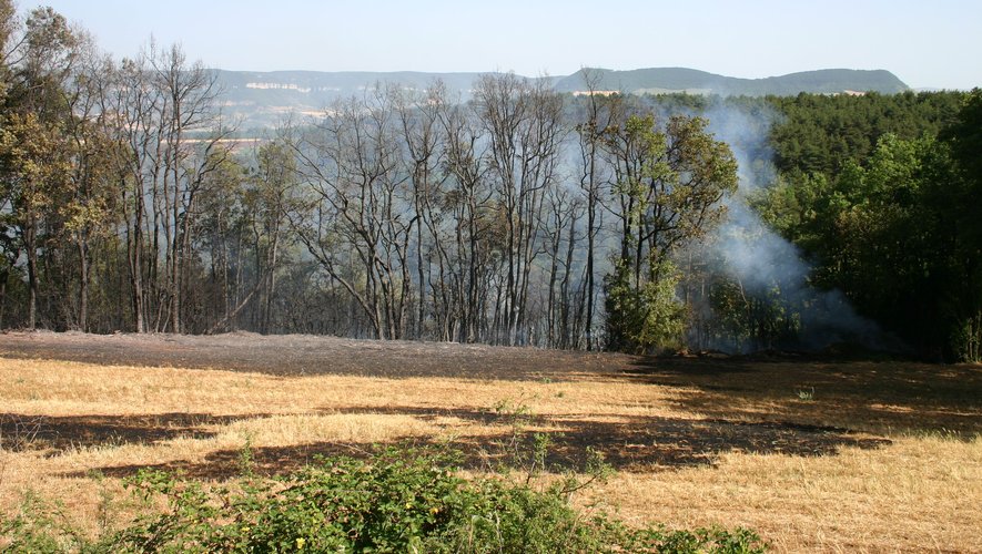 Le feu s'est déclaré dans un champ dans l'après-midi avant de s'étendre rapidement à la végétation alentour.