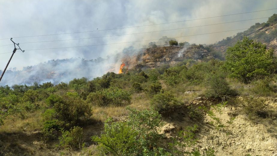 Les pompiers luttent contre les flammes qui se propagent. La sécheresse et le léger vent compliquent leur travail.
