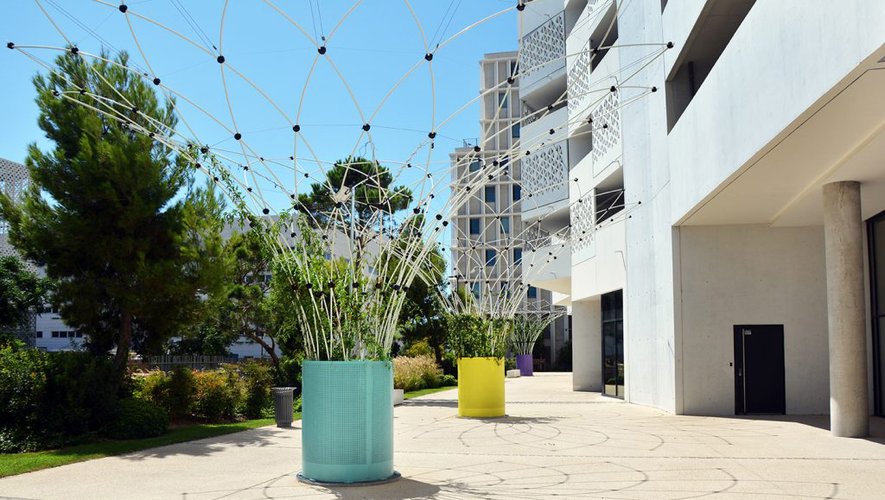 Un exemple de corolles installées par Urban Canopee à Marseille