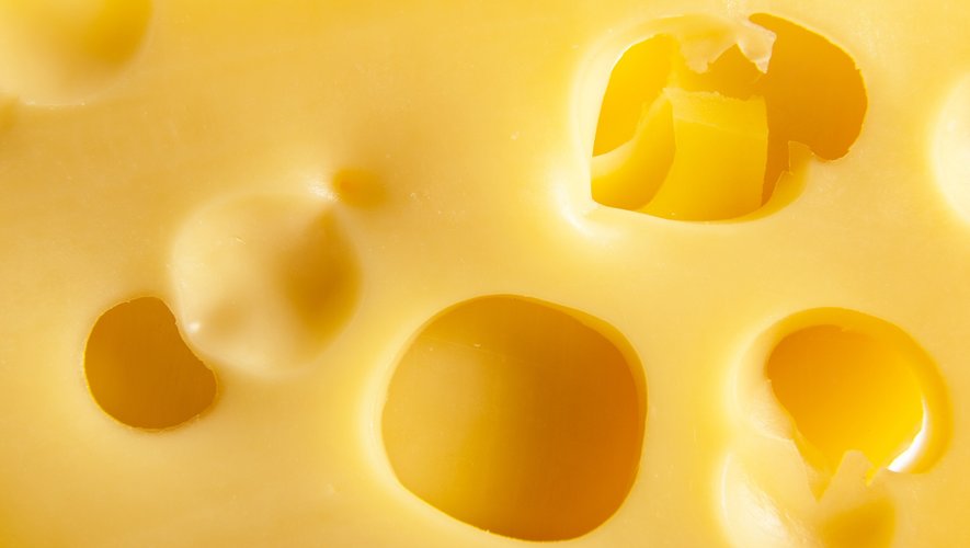 Une poudre protéinée issue de végétaux et obtenue après fermentation constituerait l'avenir des fromages vegans