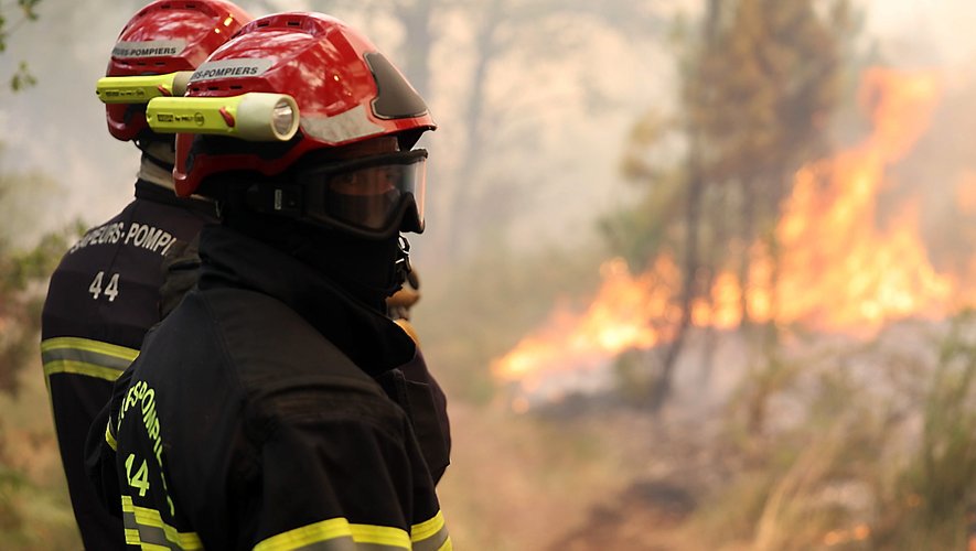 Les sapeurs-pompiers face à l’avancée des flammes en Gironde, le long de la D15 entre Louchats et Saint-Symphorien.