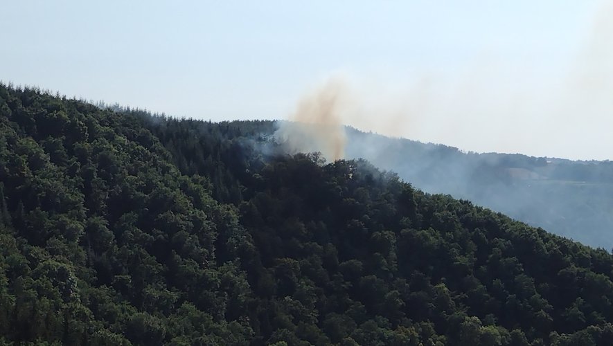 Le feu s'est déclaré à Olemps, entre le lieu-dit Bois de Linars et le hameau de la Garrigue.