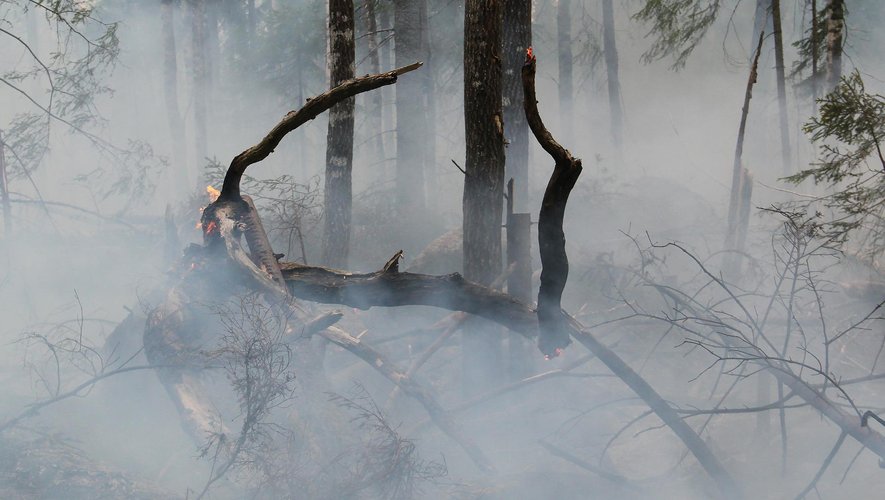 Le feu au Bois de Linars a été maîtrisé, l'incendie a brûlé trois hectares de végétation.