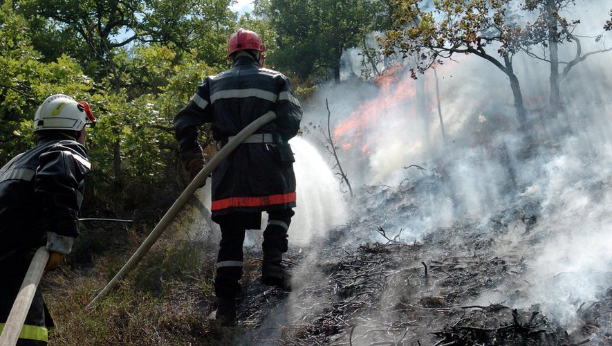 28 pompiers ont fixé l'incendie près de Bertholène ce vendredi 22 juillet.