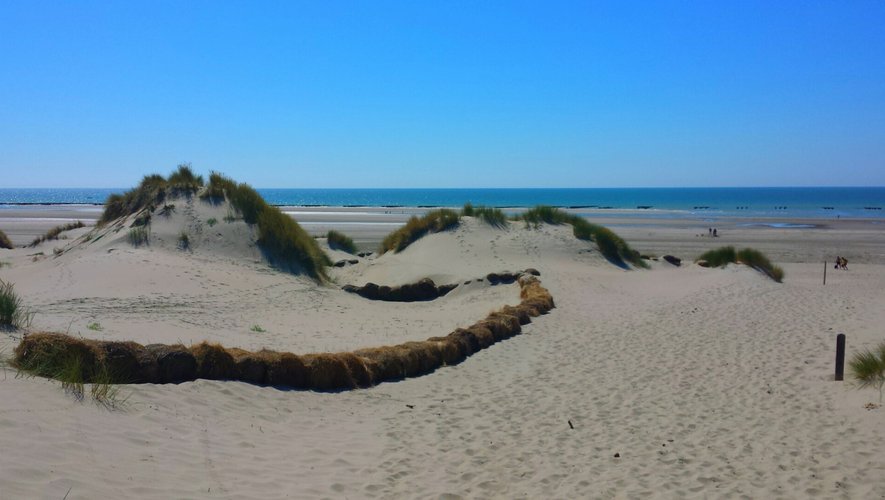 Dans les dunes, en attendant que la mer monte.