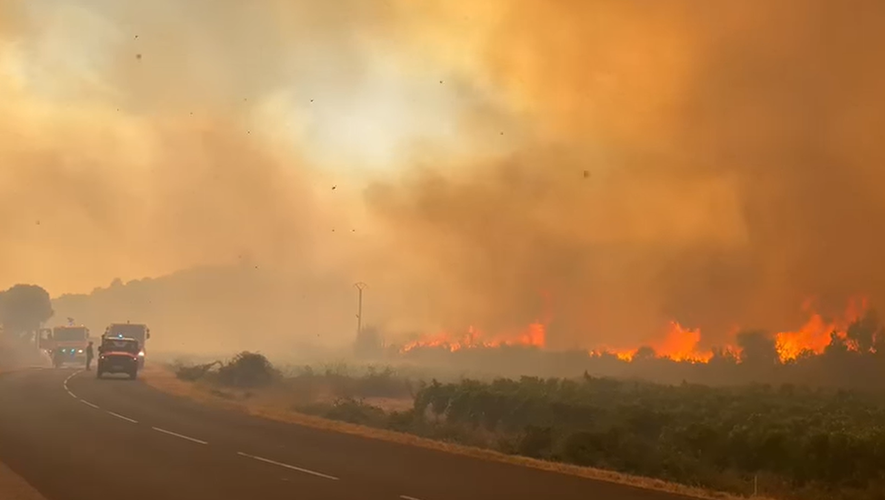 Plus de 1 000 hectares ont été dévastés par les flammes depuis mardi dans l'Hérault.