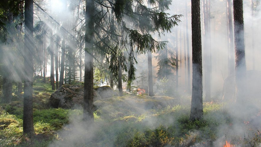 Le feu a détruit 9 hectares dans les hauteurs entre Naussac et Peyrusse-le-Roc ce dimanche 7 août 2022.