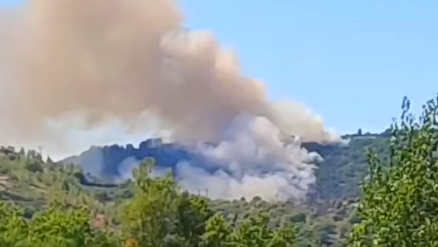 Un feu de forêt qui a déjà détruit 15 hectares.