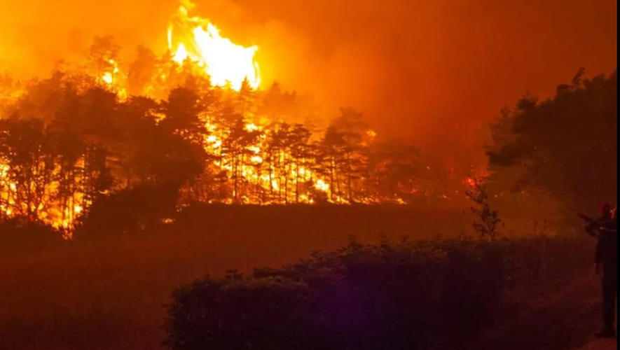 Plus de 50 000 hectares déjà brûlés en 2022