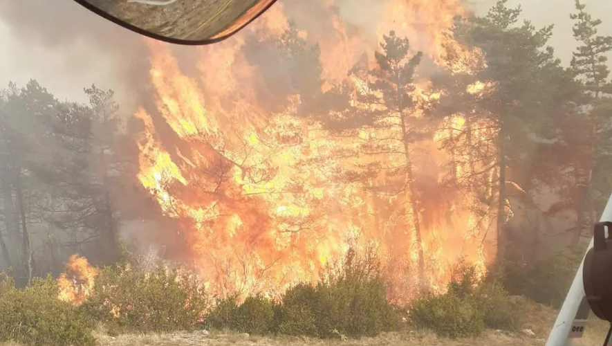 Au total, 730 hectares ont été détruits par les flammes entre l'Aveyron et la Lozère.