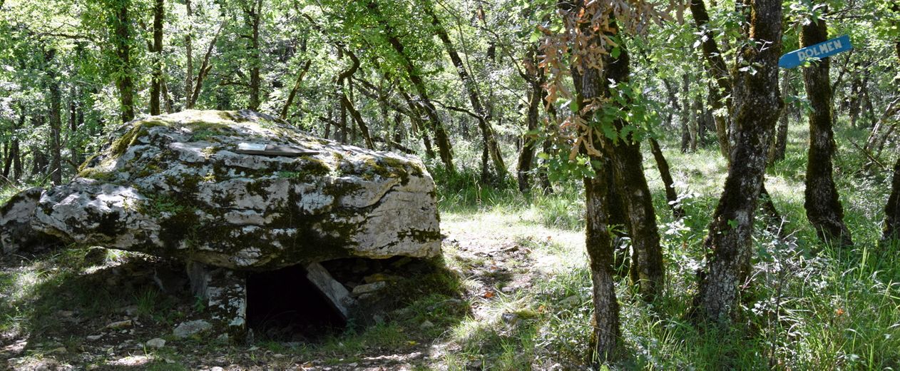 Le circuit des dolmens