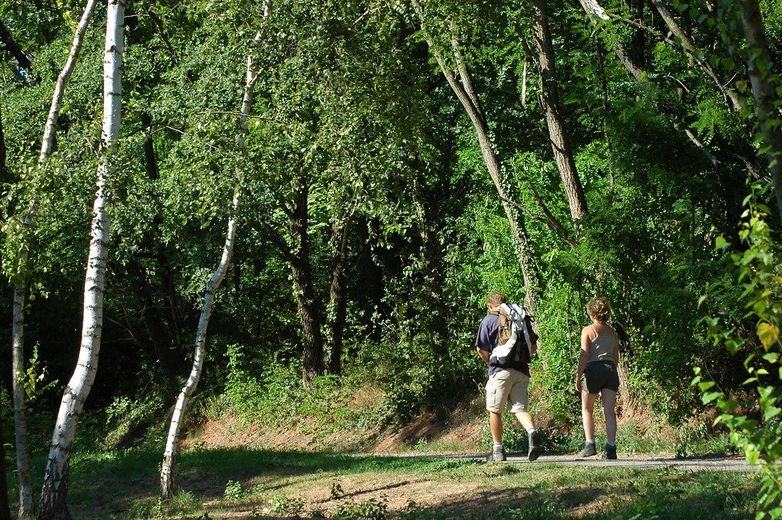 La forêt de la Vaysse et ses balades au frais.