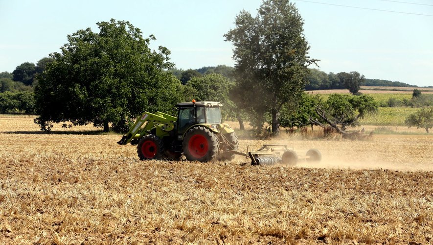 Les épisodes de sécheresse qui touchent la France depuis le début de l’été affectent fortement les agriculteurs.