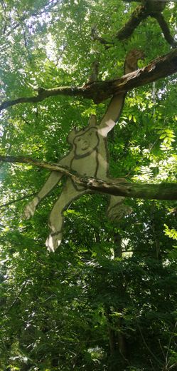 Un singe qui reste de bois.