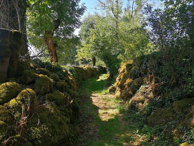 Suivez le chemin !