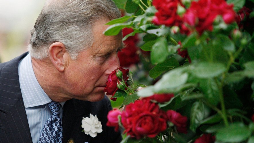 Le prince Charles lance son tout premier parfum avec la maison Penhaligon's, rendant hommage aux senteurs de son jardin de Highgrove.