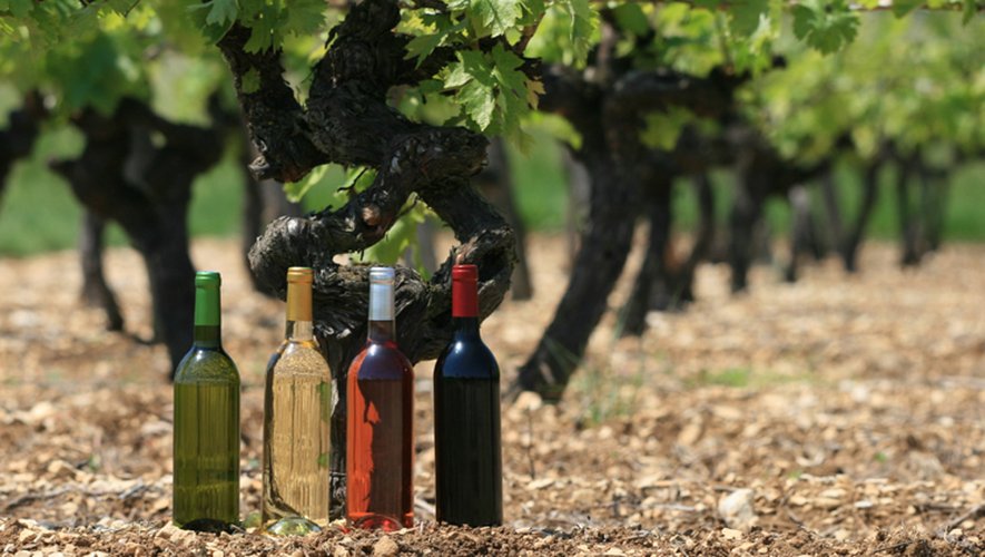 Les foires aux vins 2022 s'échelonnent de fin août à mi-octobre.