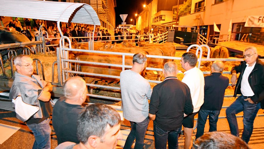Le rassemblement s'est fait devant la DDT de Rodez à partir de 21 heures.