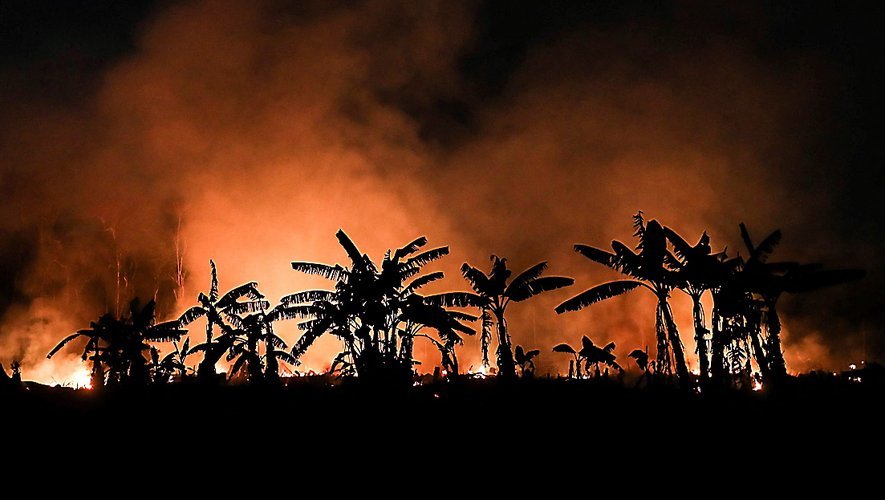 L'Amazonie en proie à des incendies volontaires pour gagner des surfaces cultivables, au grand dam des indigènes qui le paient souvent de leur vie.