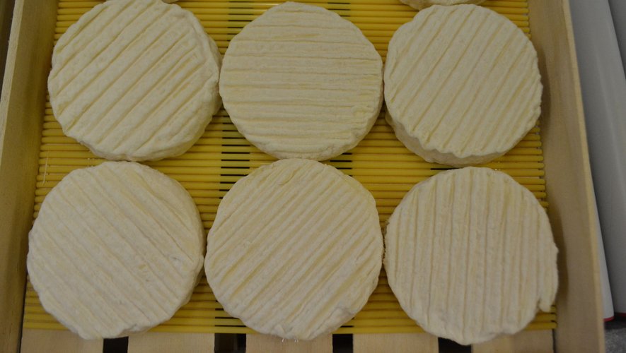  Le pérail est fabriqué à base de lait entier de brebis Lacaune.