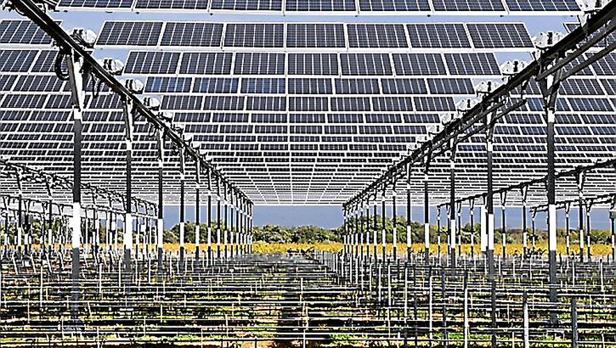 Une structure agrivoltaïque à Nidolères, dans les Pyrénées-Orientales, un des projets pour atteindre la neutralité carbone. 