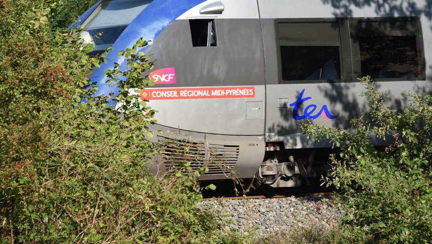 Une collision entre un TER et une voiture a coûté la vie à une femme de 25 ans à Toulouse ce vendredi 14 octobre.