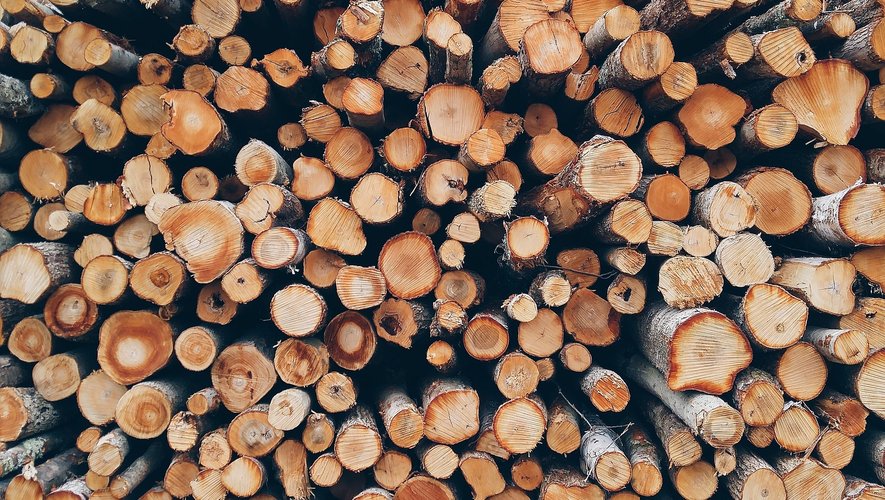 Les stocks de bois pourraient se réduire fortement dans certaines régions.