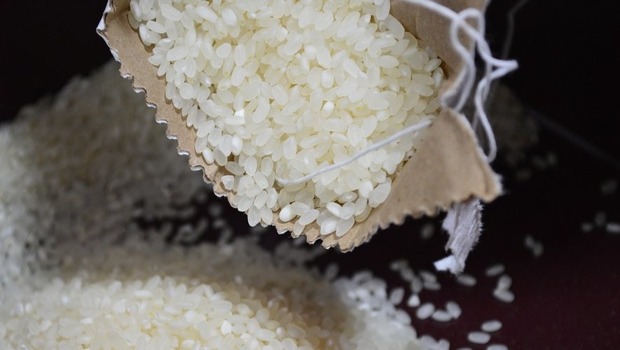 Les approvisionnements en riz pourraient devenir compliqués, alerte le Syndicat de la rizerie française (SRF), alors que les récoltes ont été mauvaises et que les coûts des matières premières et de l'énergie ne cessent de flamber.