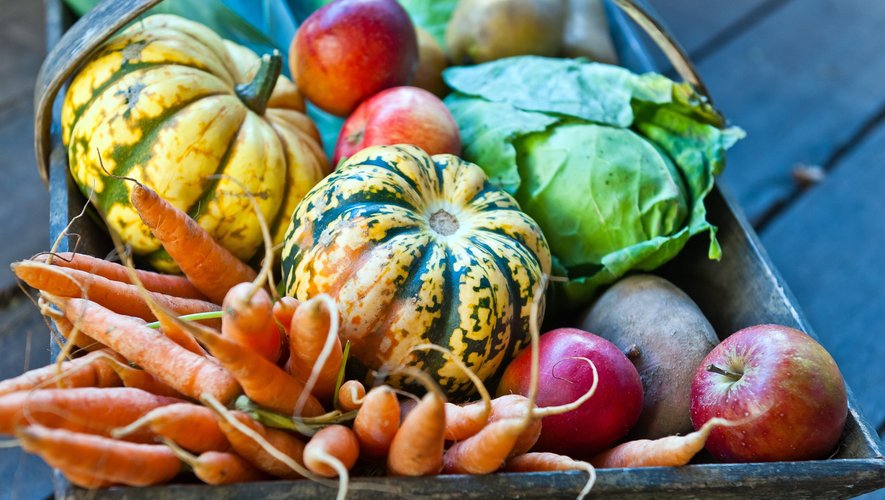 Cet automne, les températures estivales freinent les achats de légumes de saison.