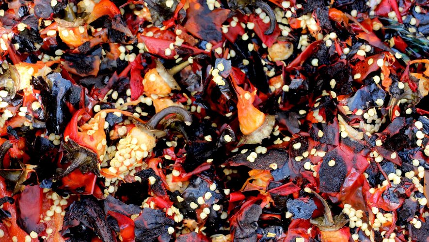 Pour faire face à la demande croissante de granulés de bois deux entreprises sud-coréennes se sont associées pour lancer un nouveau projet : confectionner des pellets à partir de déchets issus des cultures de paprika.