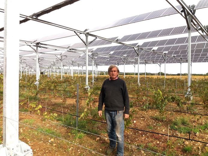 A Tresserre, les vignes sont protégées par des panneaux qui produisent de l'électricité.