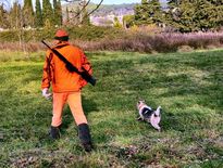 Des mesures d'encadrement de la chasse d'ici la fin de l'année ?