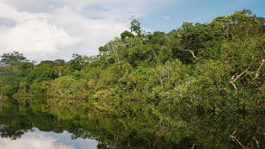 Quelque 11.568 km2 de forêts, correspondant à une superficie plus grande que celle du Qatar, ont été détruits en Amazonie brésilienne entre août 2021 et juillet 2022.
