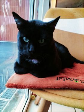 Ruben est atteint du sida et a besoin d'attention.