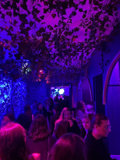 Le plafond végétal du bar le Blackout, nouveau venu dans le quartier du Faubourg.